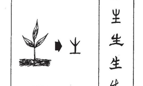 固精麦斯哈片多少钱一盒-固精麦斯哈片说明书网 - 为你提供固精麦斯哈片的成份及功效、固精麦斯哈片的说明书
