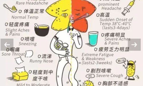 固精麦斯哈片说明书网 - 为你提供固精麦斯哈片的成份及功效、固精麦斯哈片的说明书