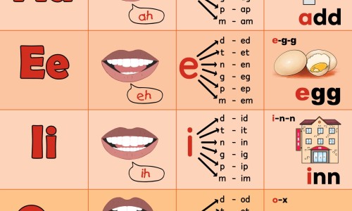 固精麦斯哈片说明书网 - 为你提供固精麦斯哈片的成份及功效、固精麦斯哈片的说明书